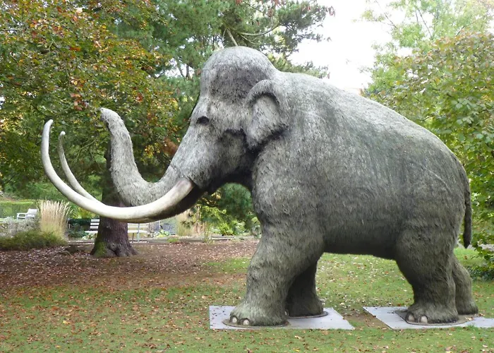 & Kunsthaus Panorama Mit Balkon * Nordhausen
